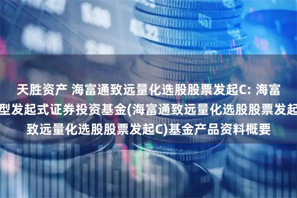 天胜资产 海富通致远量化选股股票发起C: 海富通致远量化选股股票型发起式证券投资基金(海富通致远量化选股股票发起C)基金产品资料概要