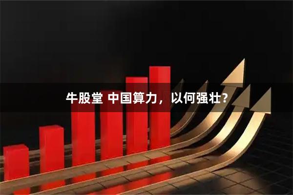 牛股堂 中国算力,以何强壮?
