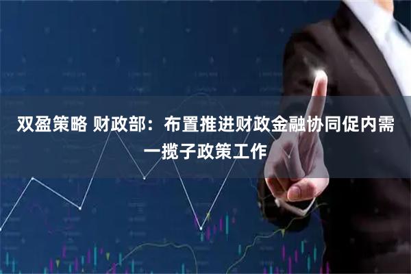 双盈策略 财政部：布置推进财政金融协同促内需一揽子政策工作
