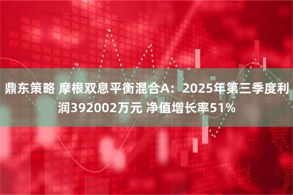鼎东策略 摩根双息平衡混合A：2025年第三季度利润392002万元 净值增长率51%