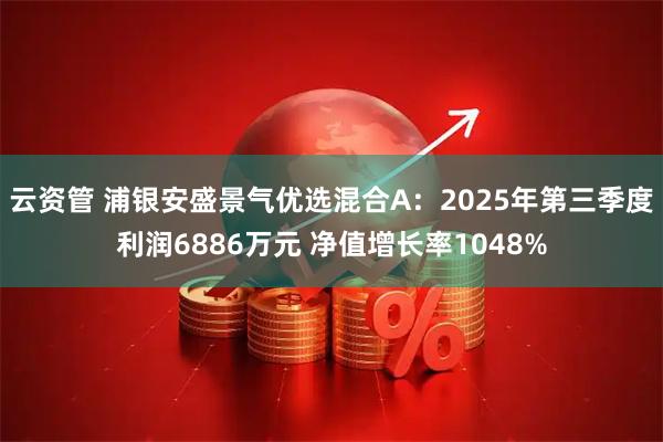 云资管 浦银安盛景气优选混合A：2025年第三季度利润6886万元 净值增长率1048%