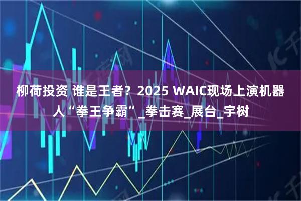 柳荷投资 谁是王者？2025 WAIC现场上演机器人“拳王争霸”_拳击赛_展台_宇树